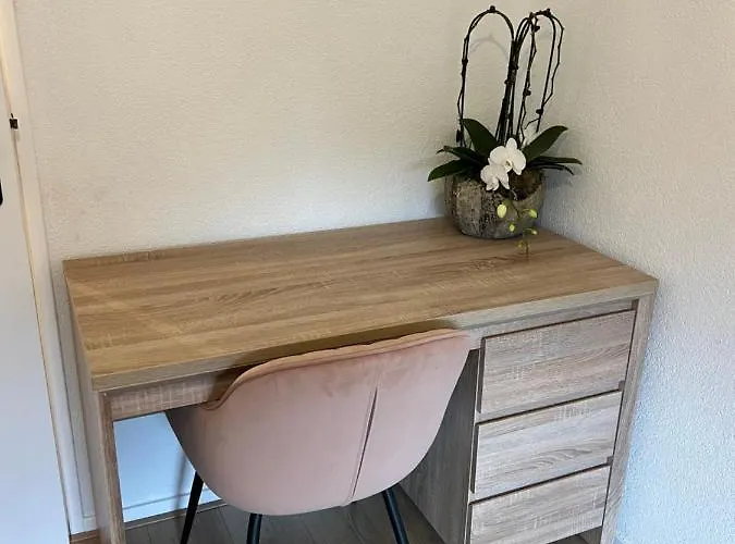 Stayatsea カトウェイク・アーン・ゼー