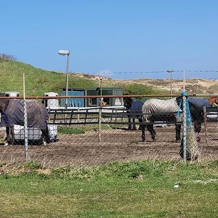 Appartement Stayatsea *